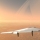 Flying above the plains of Venus with an... inflatable aircraft